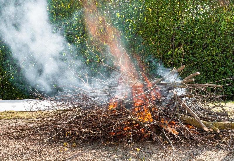 Чтобы растения и деревья не болели сожгите зараженные ветки и кусты на Петровское заговенье