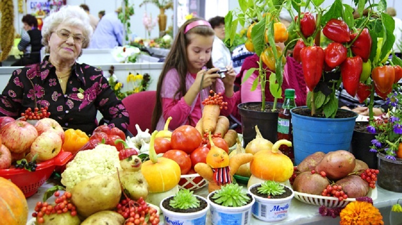 Урожай с селекционных новинок-растений на выставке Сады-2015 в Ярославле