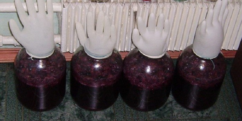 Вино из малинового варенья под перчаткой в процессе брожения