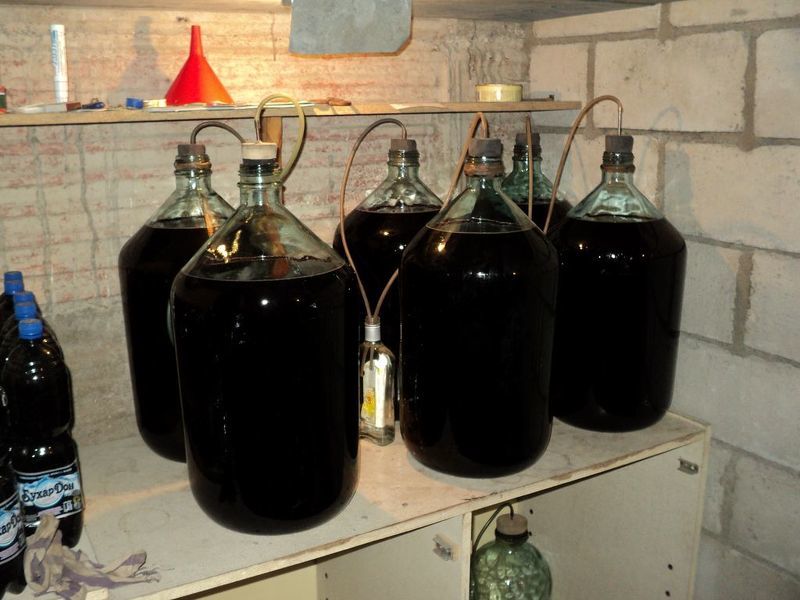 Вино из варенья рябины черноплодной под гидрозатвором