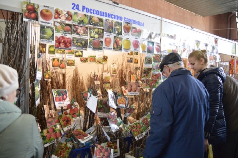 Воронежская усадьба - 2015. Большой выбор саженцев