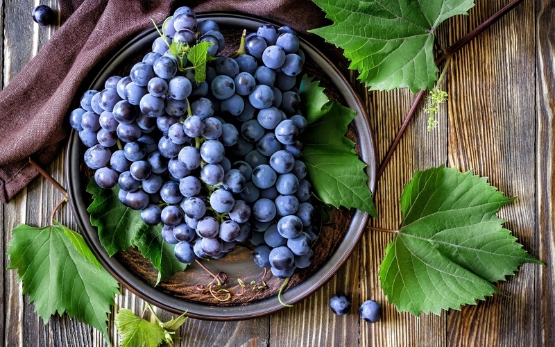 Вред черного винограда при заболеваниях