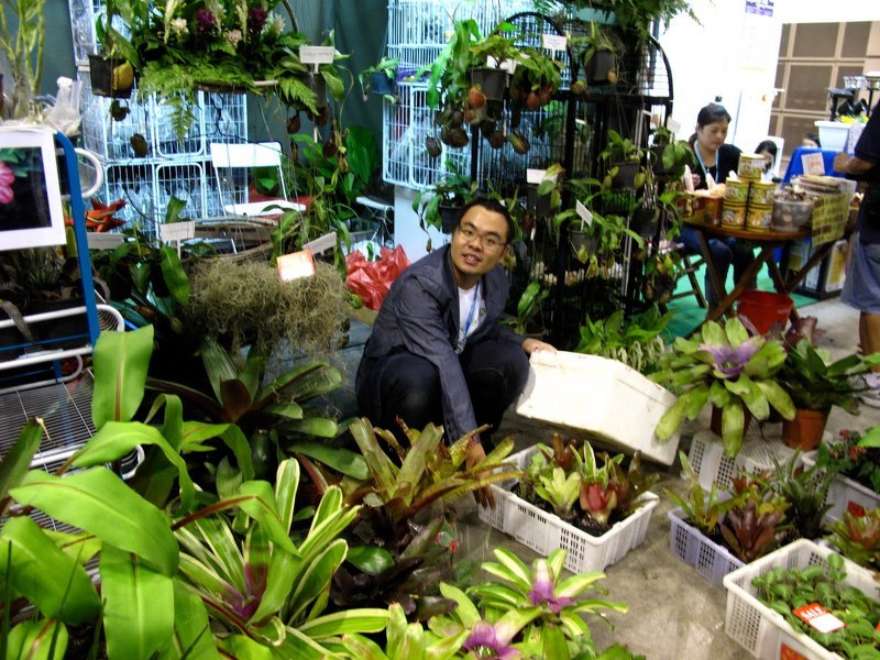 Выставка декоративных растений и цветов на фестивале в Сингапуре