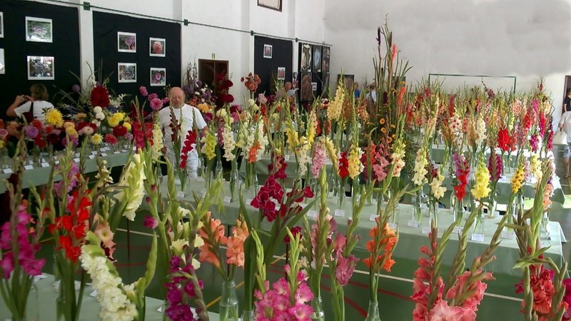 Выставка Flower Expo Poland в Варшаве 