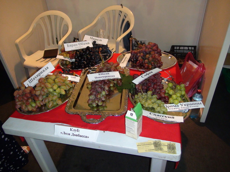 Выставка FoodWeek 2015 - урожай 2015