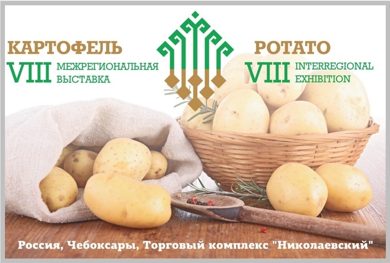 Всероссийская специализированная выставка-ярмарка Картофель-2016 в Чебоксарах