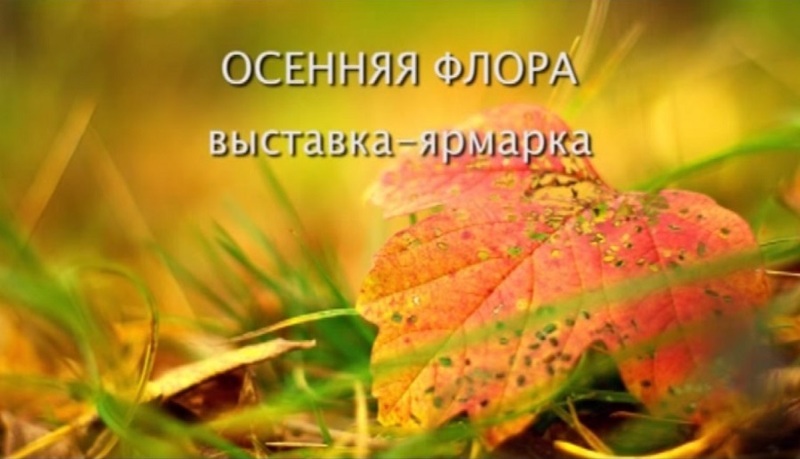 Выставка Осенняя флора 2015 в Санкт-Петербурге
