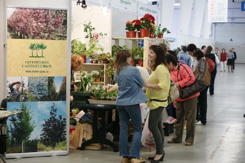 Выставка трав в москве. Казанская ярмарка зеленое хозяйство. Grass на выставке. Зеленое хозяйство осень 22 на Вико.