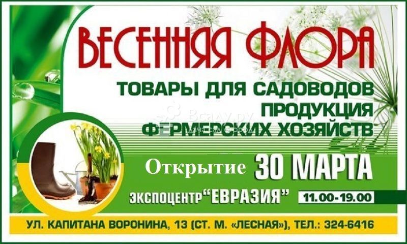 Выставка Весенняя флора в Санкт-Петербурге