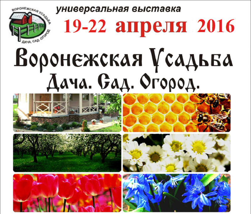 XXI Выставка-ярмарка Воронежская усадьба. Дача. Сад. Огород