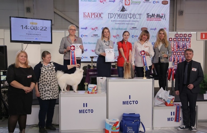 Выставка Зоомир - победители собачьего конкурса красоты