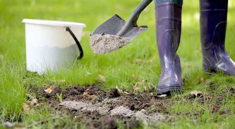 Как вывести с огорода слизней - раскислением почвы