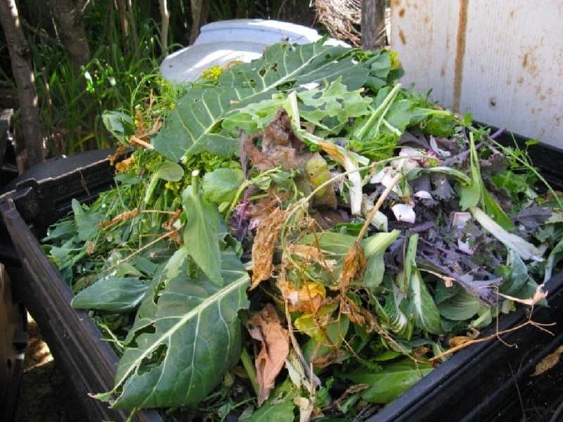 Закладка ботвы на компост для удобрения